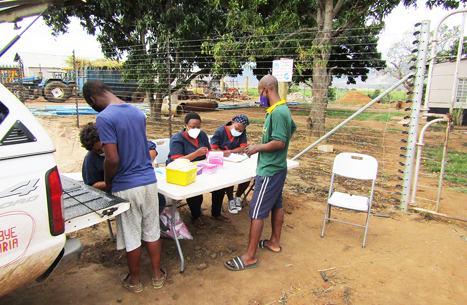 The seven steps South Africa is taking to get it closer to eliminating malaria