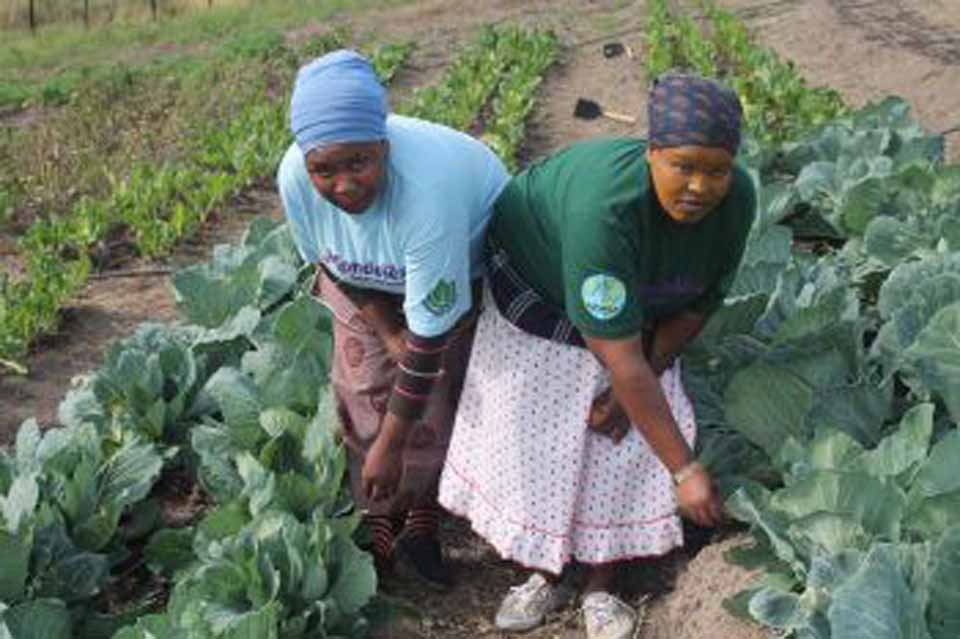 International Women's Day: Women in the Changing World of Work: Planet 50-50 by 2030