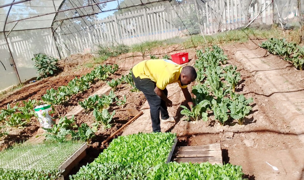 Community Development