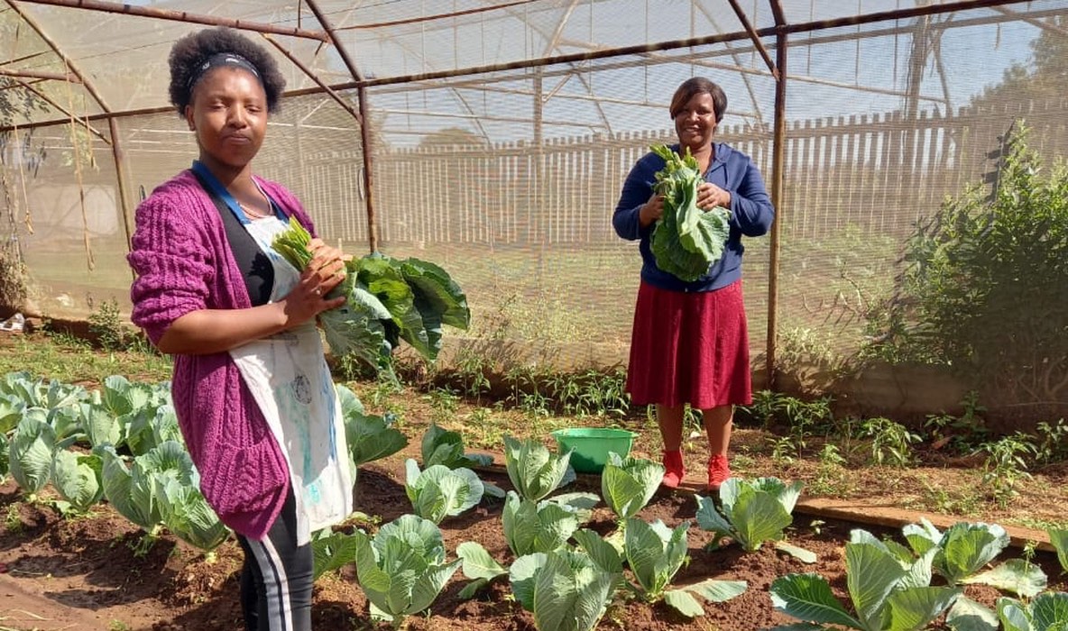 Food Security